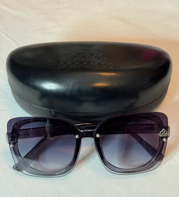 Sunglasses & Case - New
